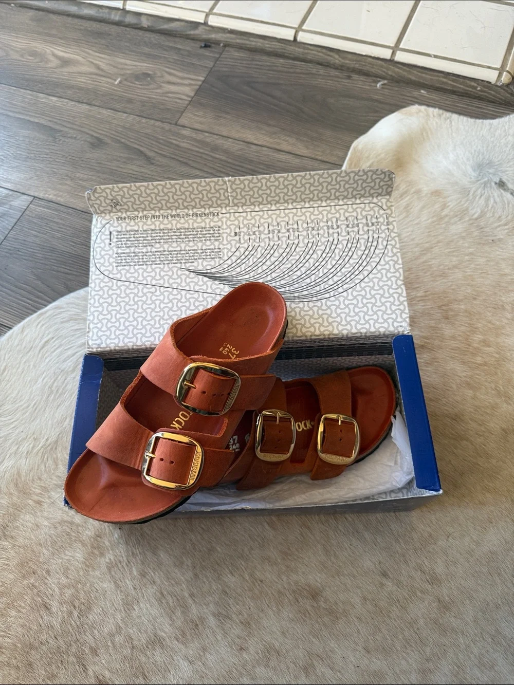 Arizona Big Buckle Burnt Orange Birkenstocks size 37